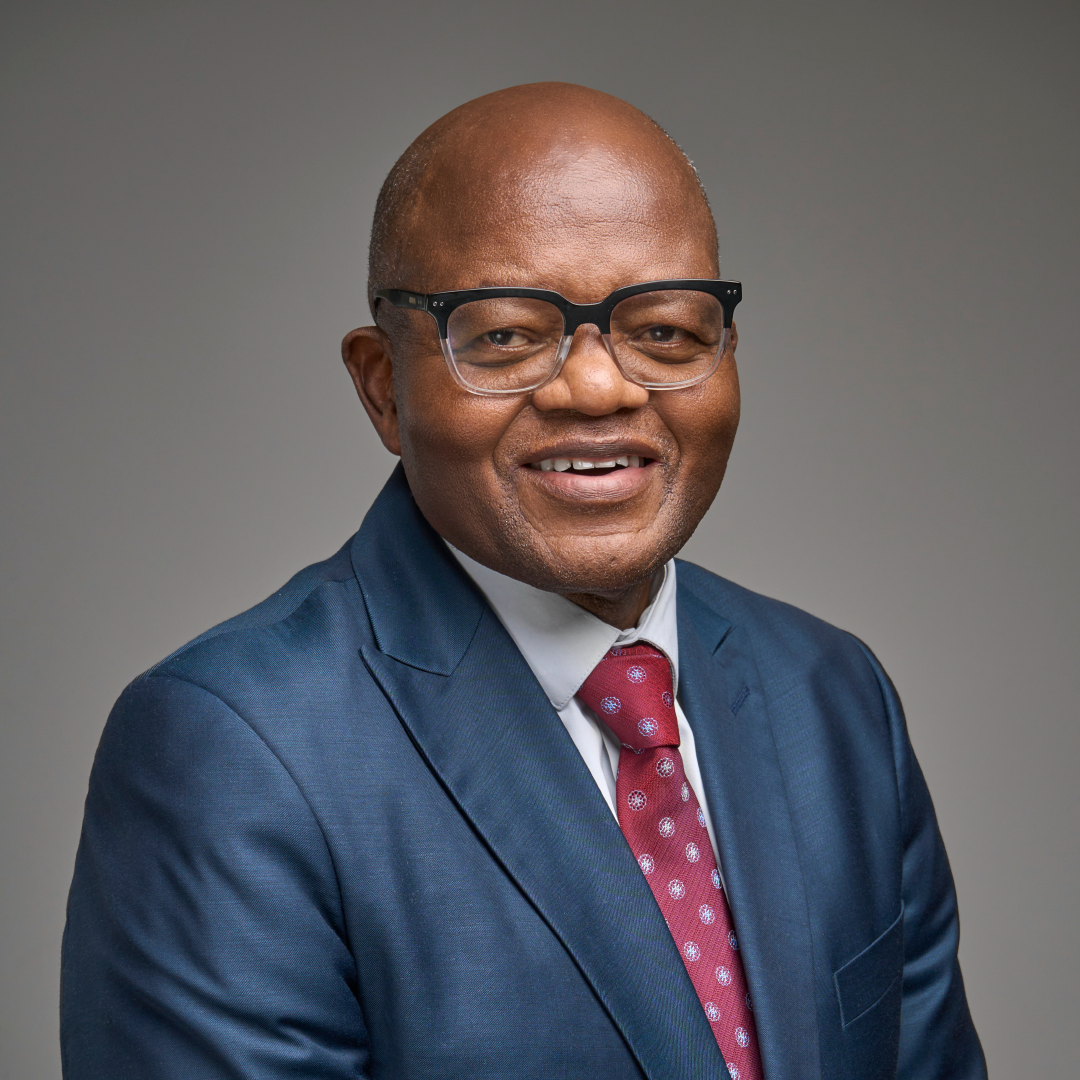 Bhekabantu Wilfred Ngubane — Board of Directors, Pareto Limited