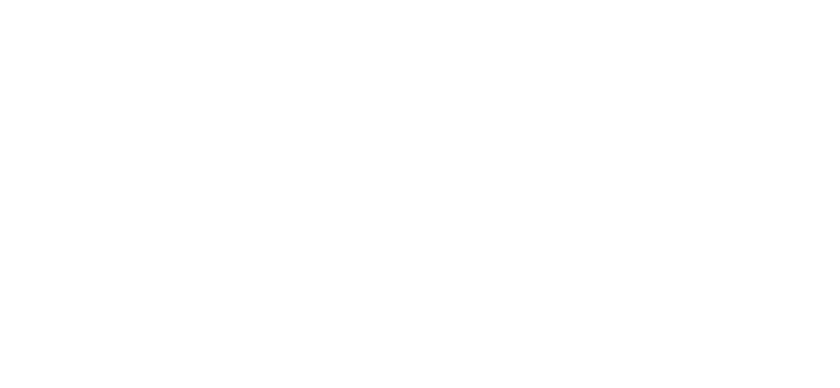 White minimalist logo with a stylised tree on the left, the word "PARETO" in large letters, and the phrase "GROWING PLACES" below. - Pareto Limited